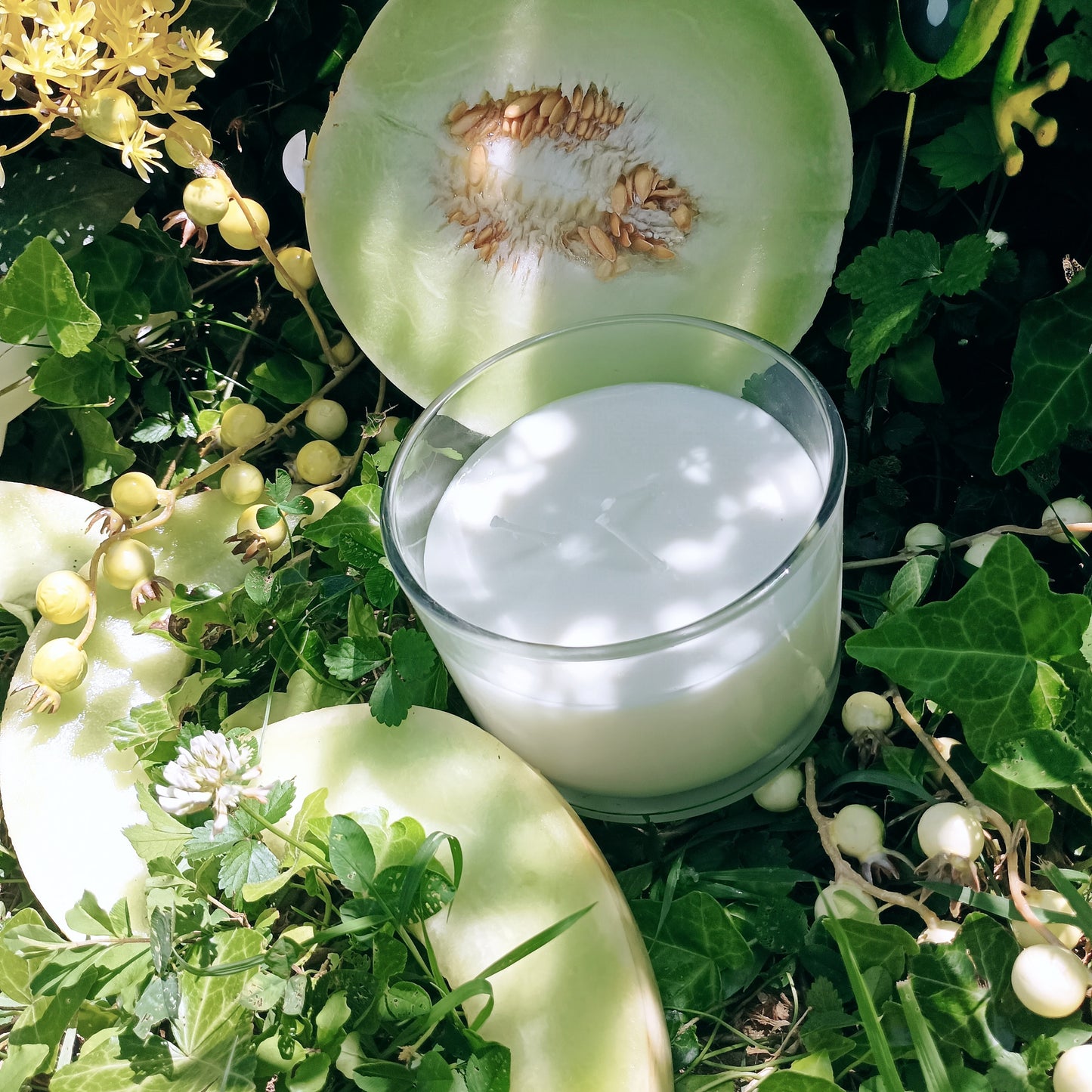 Honeydew Melon Wax Melt