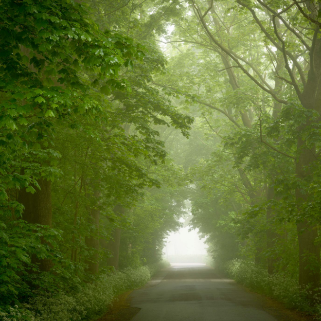 Foggy Bottom