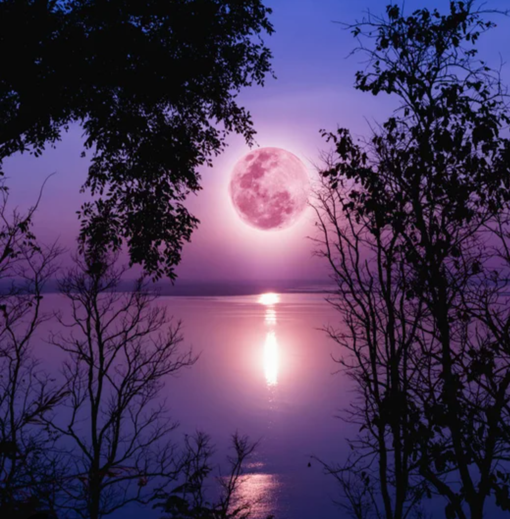 Raspberry Moon