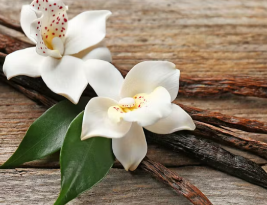 Vanilla Room & Linen Spray