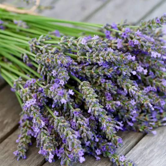 Luscious Lavender